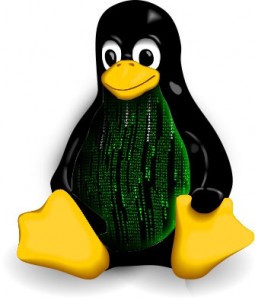 Kernel_linux