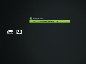 Grub2-opensuse12.3